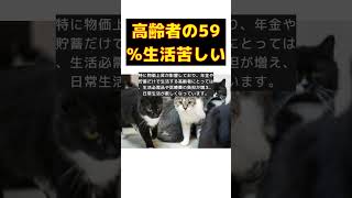 高齢者世帯の59％が生活苦しい！年金生活者支援給付金の対象者と支給額を解説 #short #高齢者世帯 #生活苦しい #年金生活者支援給付金 #物価上昇 #医療費