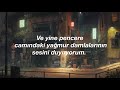 shamrain - raindrops