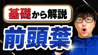 前頭葉の機能をシンプルに解説します