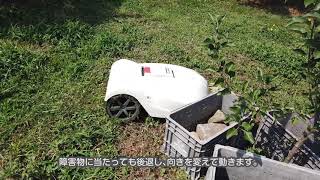 中条フルーツ農場にてWADOロボット草刈り機「MR-300」実演