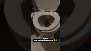 Ratatouille Exposed