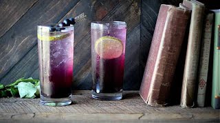 Blueberry Lavender Fizz Mocktail (Recipe Included!) | How to Make a Sparkling Blueberry Mocktail