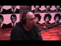 joe rogan experience 716 daniele bolelli