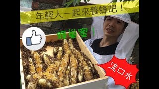 [ 呆爾 ]  年輕人來養蜜蜂吧！🐝2018 春 收蜜記錄分享 自己養的最安心 蜜蜂 下一集 如何選購蜂蜜 封蓋蜜 蜂巢蜜 Honey ハ二ー はちみつ