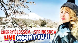 LIVE🔴Adeyto🗻Mount Fuji ❄️🌸 Snow in Cherry Blossom 2020-04-14 Oshino Hakkai 🎬 HUAWEI P30 PRO