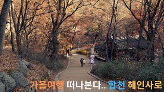 [4K] 가을여행 합천 해인사로