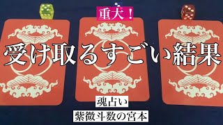 【魂占い】これから受け取るすごい結果を占いました！