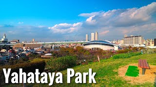 【4K HDR】Osaka Walk - Yahataya Park And Cherry Blossoms Japan