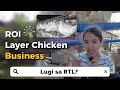ROI ng Layer Chicken Farming 🐔 2023 Price Update 🥚 Lugi sa 200 Heads RTL?! 🥲