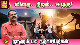 விதை.. நிழல்.. அழகு..! நாளும் பல நற்செய்திகள் | 01-08-2023 | Seeman Official