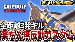 【COD:V】無ブレで全距離3発でキルできる『VARGO S』カスタムを使った結果ww【エイム力がハッピー】