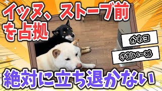 【2ch動物まとめ】イッヌさん、こっそりストーブにあたる