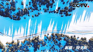 银装素裹！雪后的新疆喀拉峻大草原似童话世界 | CCTV