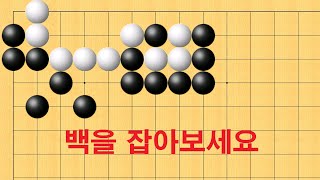 바둑 묘수 사활 - 고수가 되려면 무조건 백을 잡을 수 있어야 합니다