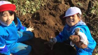 食農教育 畑の授業！糠の目小学校×高畠青年部♫〜サツマイモ掘り編〜