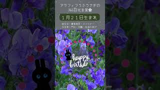 アラフィフうふうさぎ366日花言葉🌻自分へ、大切な人へのプレゼント選びの参考に🌷#花言葉 #誕生花 #誕生花＃今日のメッセージ #今日の運勢