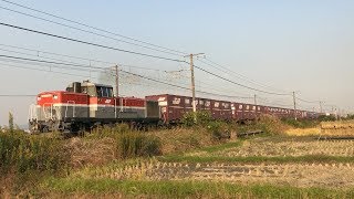 JR貨物　本線運用のデーテン貨物　3095レ　DE10-1561号機 【山陽本線・庭瀬～中庄間】