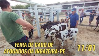 Feira de gado de Afogados da Ingazeira-PE (11/01/25)