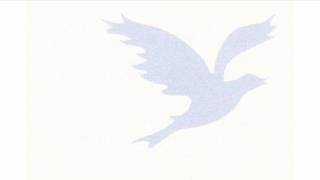 Abbie Betinis: Be Like the Bird