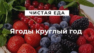 Ягоды круглый год // Чистая еда