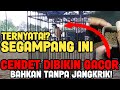 CARA MEMILIH VOER YANG GAMPANG GACOR UNTUK CENDET‼️(RUMAHAN /GANTANGAN)