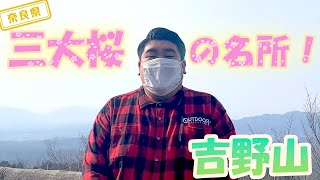 【奈良県】【３万本の桜】三大桜名所！「吉野山」