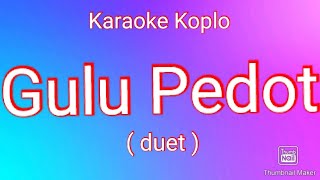 Gulu Pedot Karaoke Koplo Duet