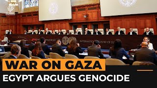 Egypt deals ‘diplomatic blow’ to Israel by joining ICJ genocide case | Al Jazeera Newsfeed