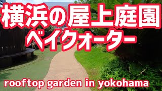 横浜の屋上庭園　ベイクォーター/ rooftop garden in yokohama