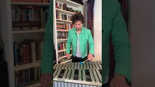 Classic Nokia Ringtone on 5 Different Mallet Instruments