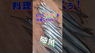 釣ったサヨリを料理していくぅ！ #fishing #shortvideo #釣り #魚 #料理