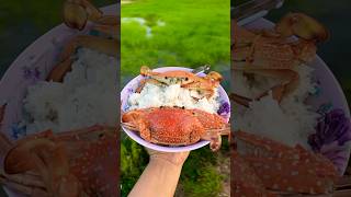 Eat rice with crab #yummyfood #shorts