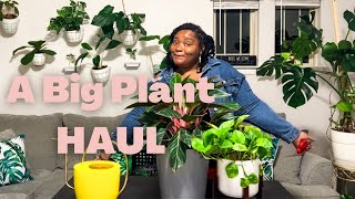 My Biggest Plant Haul in one month! | Houseplant haul