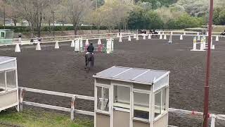 第59回東都学生馬術大会　複合馬術競技　障害馬術競技　４年　瀬川裕哉　桜望