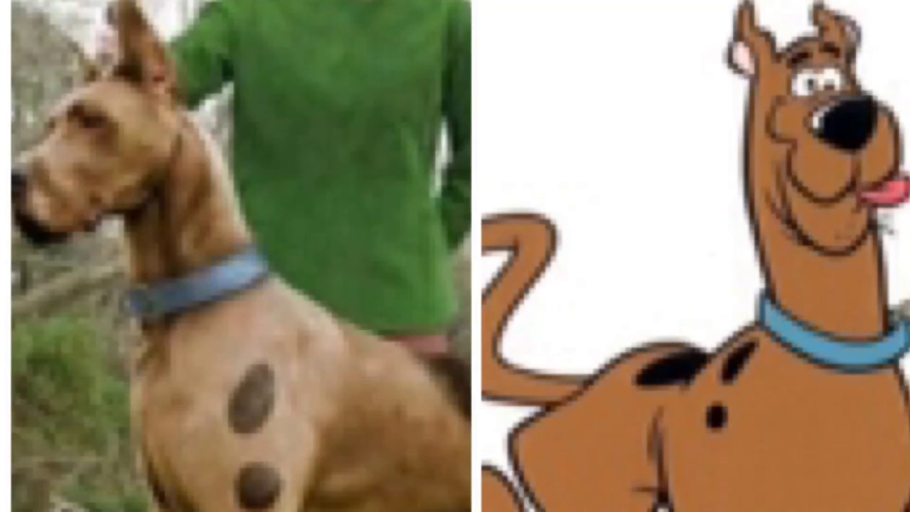 Scooby Doo Characters Real People