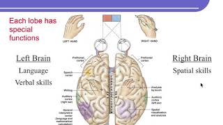 Physiology Chapter 9