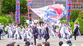 [4K] 石狩流星海　YOSAKOIソーラン祭り 2022 日曜日 (中央)