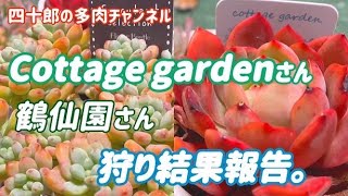 【多肉植物】🌵コテッジガーデン、鶴仙園さん　狩り結果報告。🤗