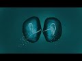 Elderbrook & Ahmed Spins - Waterfall (Extended) Official Visualiser