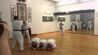 Tameshiwari-Breaking Seido Karate Italy 2015-tobi yoko geri jump kick
