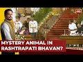 Animal In Rashtrapati Bhavan? Video Of Mystery Animal During Oath Goes Viral