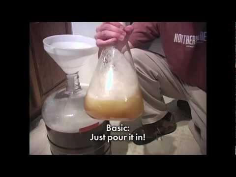 MAKING A YEAST STARTER MAKING A YEAST STARTER