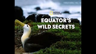 Необычная природа экватора / Equator's Wild Secrets Серия 5 Тайные обитатели Анд