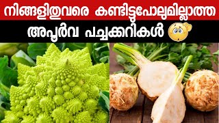 അമ്പോ ഇങ്ങനെയും പച്ചക്കറികളോ 😱😱 RAREST VEGETABLES MALAYALAM | AF INFO SHOW