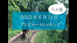 【八ヶ岳】2022年6月11日プレジャートレッキング