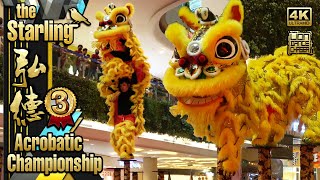 [2nd RUNNER UP] Kedah Hong Teck 吉打弘德 - Acrobatic Lion Dance Championship @ The Starling