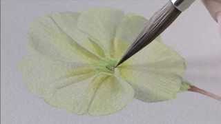 How to paint the Primrose by Billy Showell