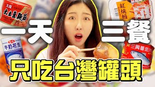 韓國人第一次吃6種台灣罐頭🥫一天三餐只吃罐頭挑戰 | 有璟嘿喲  | 韓國人住在台灣