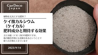 植物を丈夫にする肥料？ケイ酸カルシウム（ケイカル）