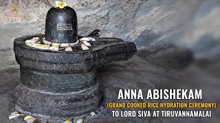 Anna Abishekam (Grand Cooked Rice Hydration Ceremony) to Lord Shiva at Tiruvannamalai